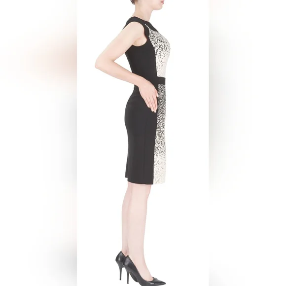 Joseph Ribkoff Dress - Picture 3 of 12